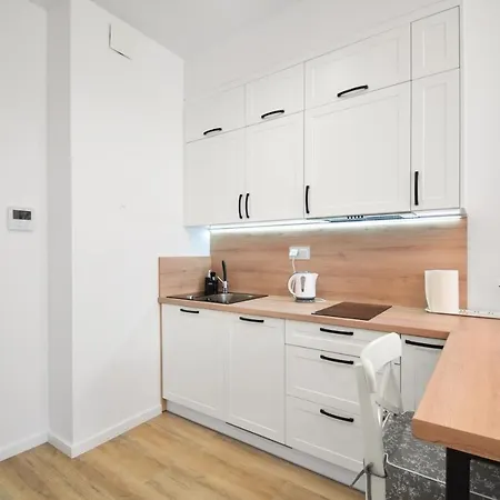 公寓 117l 洛格沃